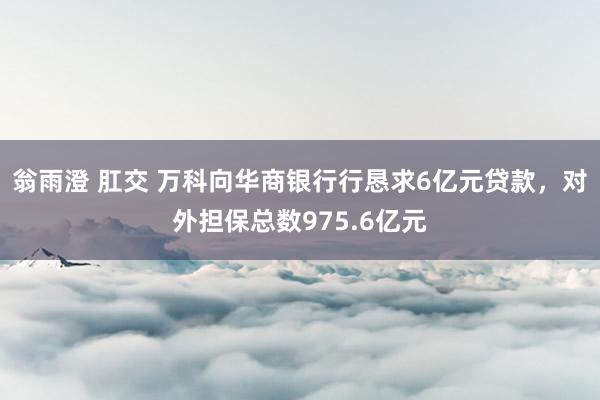 翁雨澄 肛交 万科向华商银行行恳求6亿元贷款，对外担保总数975.6亿元