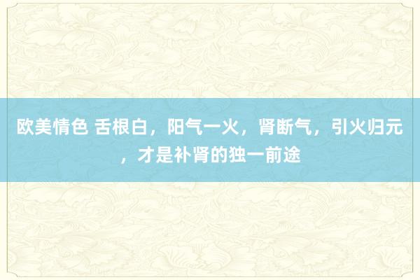 欧美情色 舌根白，阳气一火，肾断气，引火归元，才是补肾的独一前途