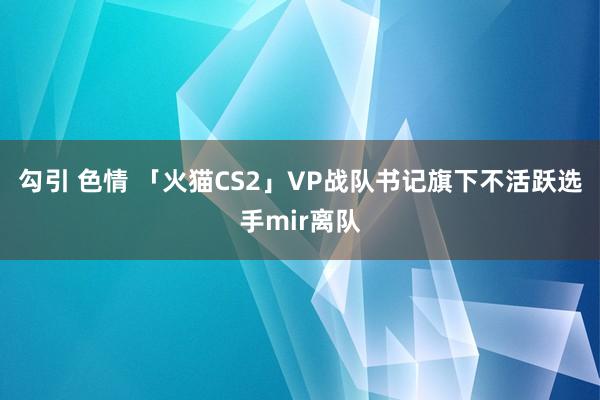 勾引 色情 「火猫CS2」VP战队书记旗下不活跃选手mir离队