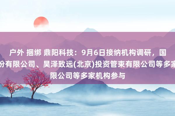 户外 捆绑 鼎阳科技：9月6日接纳机构调研，国投证券股份有限公司、昊泽致远(北京)投资管束有限公司等多家机构参与