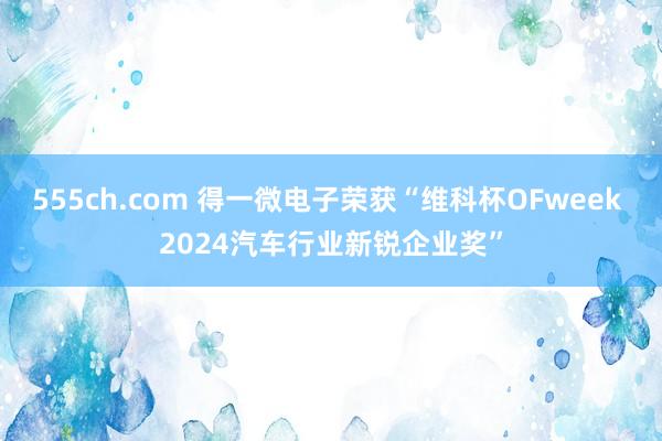 555ch.com 得一微电子荣获“维科杯OFweek 2024汽车行业新锐企业奖”