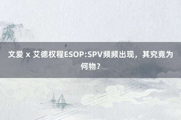 文爱 x 艾德权程ESOP:SPV频频出现，其究竟为何物？