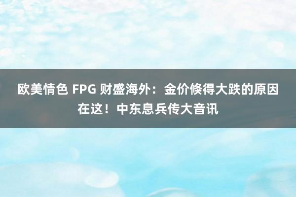 欧美情色 FPG 财盛海外：金价倏得大跌的原因在这！中东息兵传大音讯