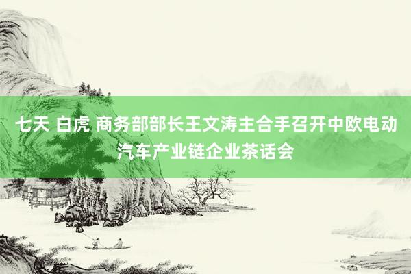 七天 白虎 商务部部长王文涛主合手召开中欧电动汽车产业链企业茶话会