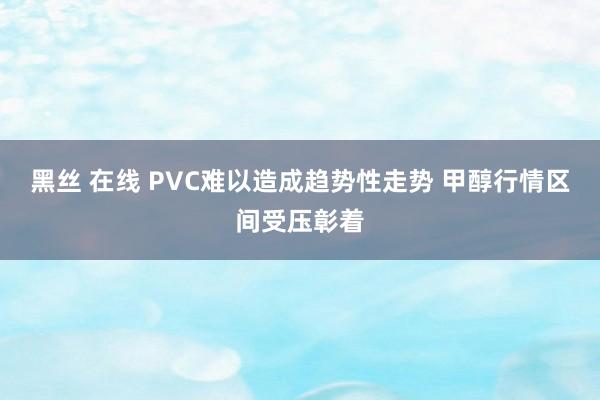 黑丝 在线 PVC难以造成趋势性走势 甲醇行情区间受压彰着