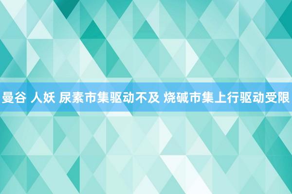 曼谷 人妖 尿素市集驱动不及 烧碱市集上行驱动受限