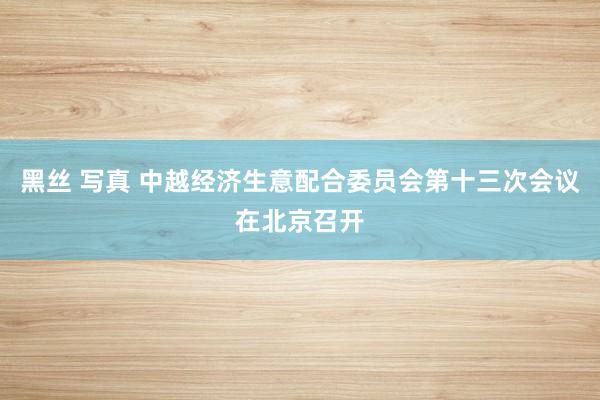 黑丝 写真 中越经济生意配合委员会第十三次会议在北京召开