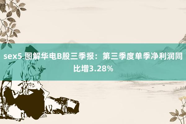 sex5 图解华电B股三季报：第三季度单季净利润同比增3.28%