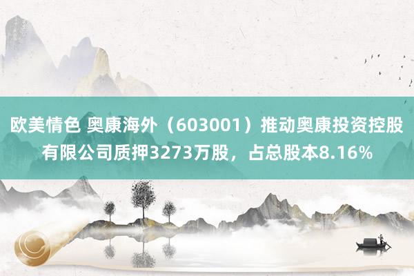 欧美情色 奥康海外（603001）推动奥康投资控股有限公司质押3273万股，占总股本8.16%