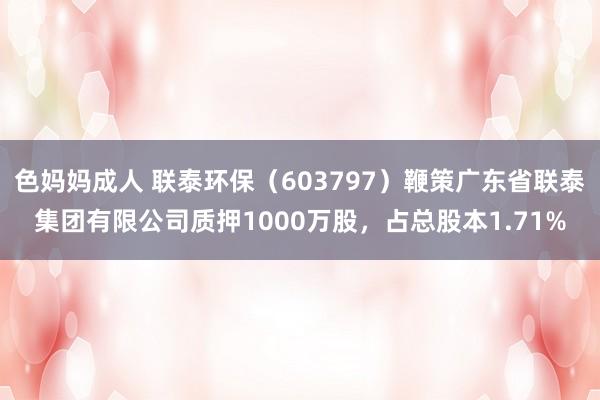 色妈妈成人 联泰环保（603797）鞭策广东省联泰集团有限公司质押1000万股，占总股本1.71%