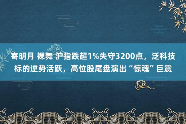 寄明月 裸舞 沪指跌超1%失守3200点，泛科技标的逆势活跃，高位股尾盘演出“惊魂”巨震