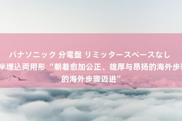 パナソニック 分電盤 リミッタースペースなし 露出・半埋込両用形 “朝着愈加公正、雄厚与昂扬的海外步骤迈进”