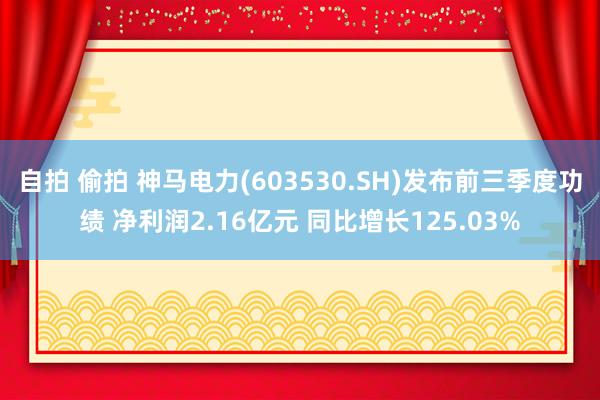 自拍 偷拍 神马电力(603530.SH)发布前三季度功绩 净利润2.16亿元 同比增长125.03%