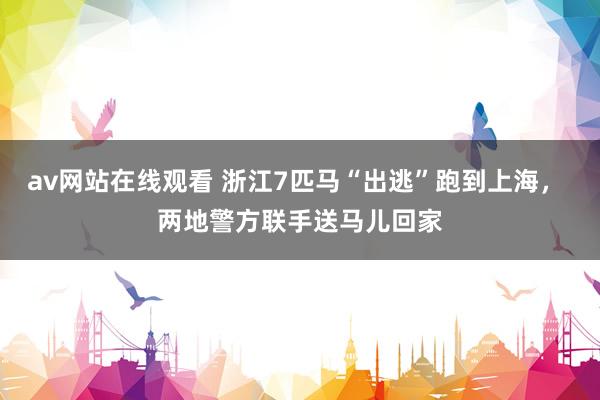 av网站在线观看 浙江7匹马“出逃”跑到上海， 两地警方联手送马儿回家