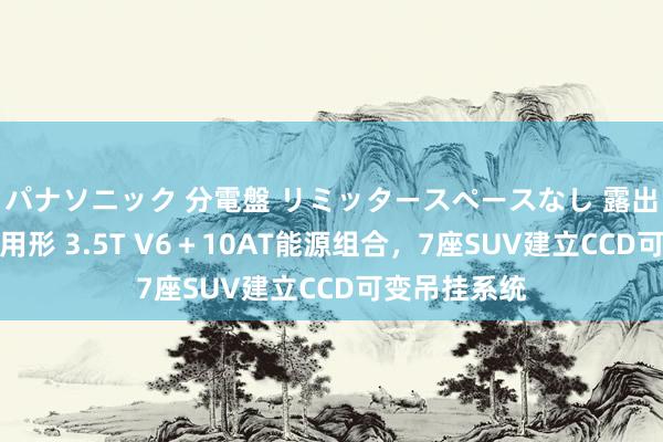 パナソニック 分電盤 リミッタースペースなし 露出・半埋込両用形 3.5T V6＋10AT能源组合，7座SUV建立CCD可变吊挂系统