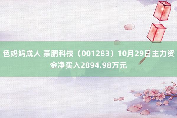 色妈妈成人 豪鹏科技（001283）10月29日主力资金净买入2894.98万元