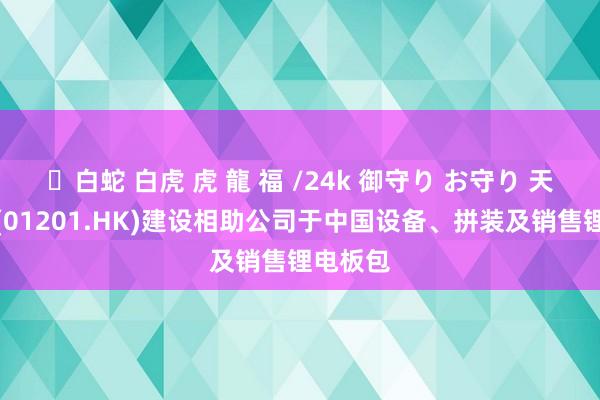 ✨白蛇 白虎 虎 龍 福 /24k 御守り お守り 天臣控股(01201.HK)建设相助公司于中国设备、拼装及销售锂电板包