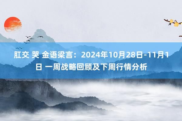 肛交 哭 金语梁言：2024年10月28日-11月1日 一周战略回顾及下周行情分析