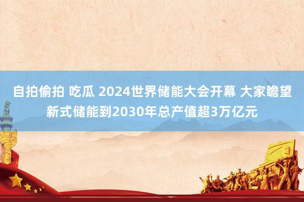 自拍偷拍 吃瓜 2024世界储能大会开幕 大家瞻望新式储能到2030年总产值超3万亿元