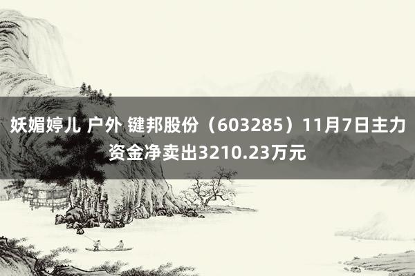 妖媚婷儿 户外 键邦股份（603285）11月7日主力资金净卖出3210.23万元