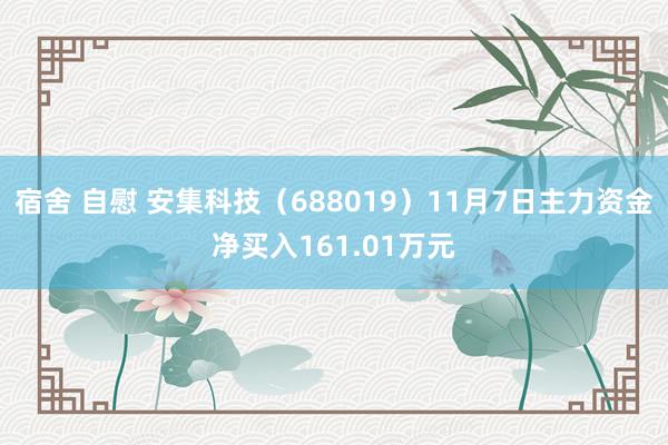 宿舍 自慰 安集科技（688019）11月7日主力资金净买入161.01万元