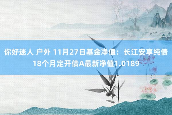 你好迷人 户外 11月27日基金净值：长江安享纯债18个月定开债A最新净值1.0189