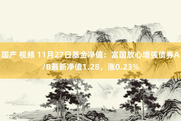 国产 视频 11月27日基金净值：富国放心增强债券A/B最新净值1.28，涨0.23%