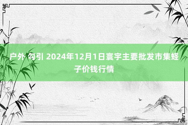 户外 勾引 2024年12月1日寰宇主要批发市集蛏子价钱行情