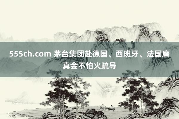 555ch.com 茅台集团赴德国、西班牙、法国磨真金不怕火疏导