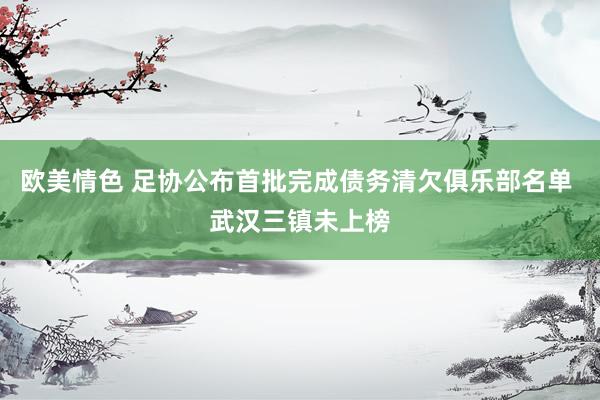 欧美情色 足协公布首批完成债务清欠俱乐部名单 武汉三镇未上榜