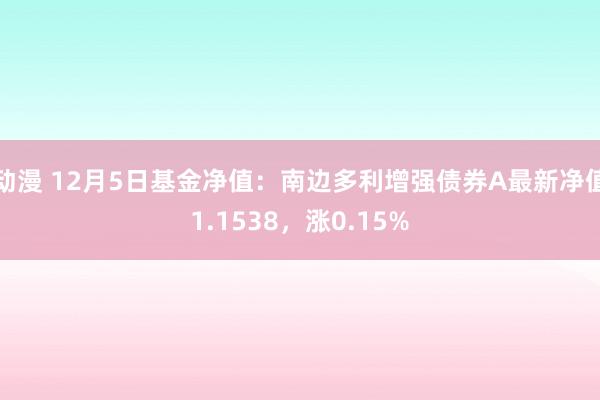 动漫 12月5日基金净值：南边多利增强债券A最新净值1.1538，涨0.15%