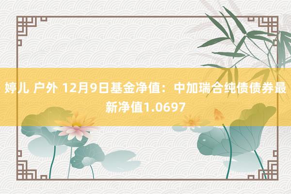 婷儿 户外 12月9日基金净值：中加瑞合纯债债券最新净值1.0697