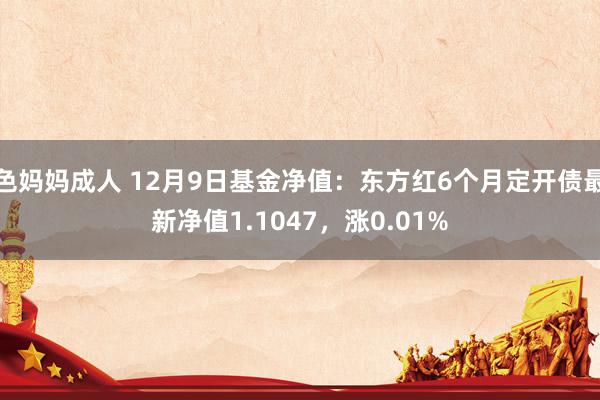 色妈妈成人 12月9日基金净值：东方红6个月定开债最新净值1.1047，涨0.01%