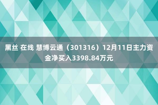 黑丝 在线 慧博云通（301316）12月11日主力资金净买入3398.84万元