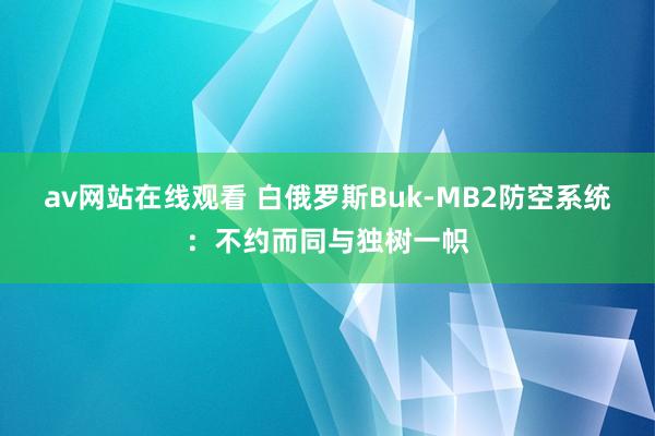 av网站在线观看 白俄罗斯Buk-MB2防空系统：不约而同与独树一帜