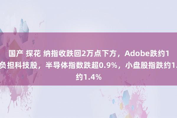 国产 探花 纳指收跌回2万点下方，Adobe跌约14%负担科技股，半导体指数跌超0.9%，小盘股指跌约1.4%