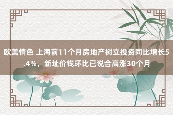 欧美情色 上海前11个月房地产树立投资同比增长5.4%，新址价钱环比已说合高涨30个月