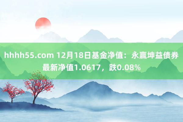 hhhh55.com 12月18日基金净值：永赢坤益债券最新净值1.0617，跌0.08%