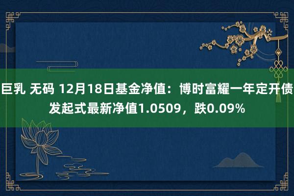 巨乳 无码 12月18日基金净值：博时富耀一年定开债发起式最新净值1.0509，跌0.09%