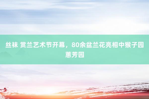 丝袜 赏兰艺术节开幕，80余盆兰花亮相中猴子园蕙芳园