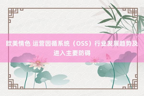 欧美情色 运营因循系统（OSS）行业发展趋势及进入主要防碍