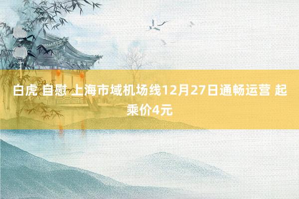 白虎 自慰 上海市域机场线12月27日通畅运营 起乘价4元