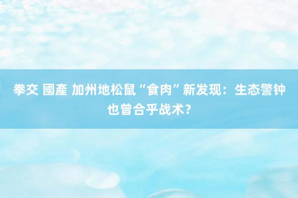 拳交 國產 加州地松鼠“食肉”新发现：生态警钟也曾合乎战术？