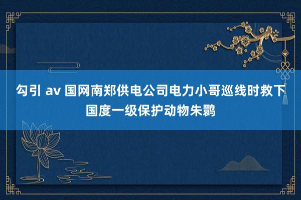 勾引 av 国网南郑供电公司电力小哥巡线时救下国度一级保护动物朱鹮