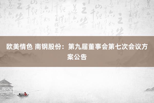 欧美情色 南钢股份：第九届董事会第七次会议方案公告