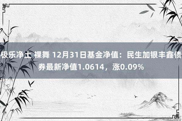 极乐净土 裸舞 12月31日基金净值：民生加银丰鑫债券最新净值1.0614，涨0.09%