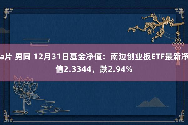 a片 男同 12月31日基金净值：南边创业板ETF最新净值2.3344，跌2.94%