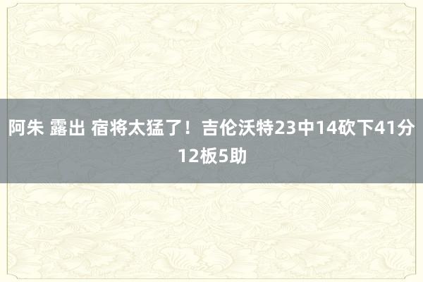 阿朱 露出 宿将太猛了！吉伦沃特23中14砍下41分12板5助