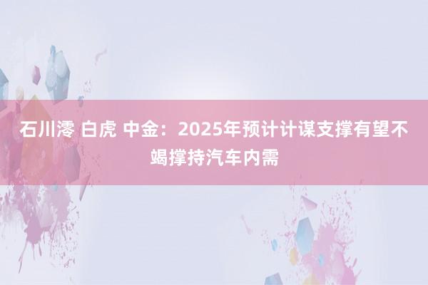 石川澪 白虎 中金：2025年预计计谋支撑有望不竭撑持汽车内需