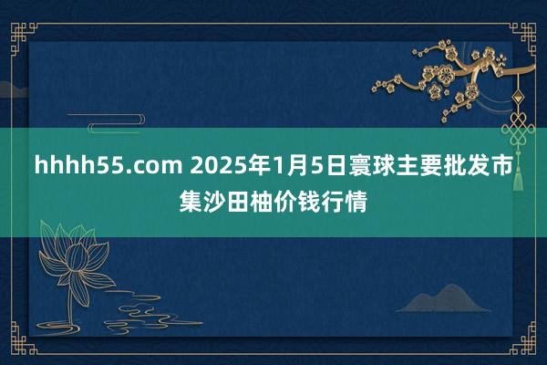 hhhh55.com 2025年1月5日寰球主要批发市集沙田柚价钱行情